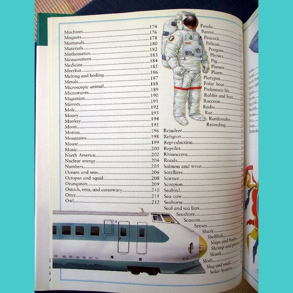 Book: Kingfisher's Ultimate First Encyclopedia for Children - Picture 12 of 16